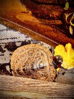 IMG_2615.jpeg