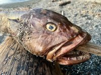 IMG_5986.jpeg