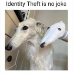 IMG_8159.jpeg