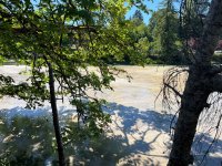 IMG_5625.jpeg
