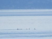IMG_4513.jpeg
