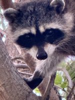 IMG_0488.jpeg