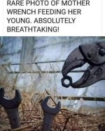 mother wrench.jpg