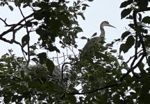 IMG_2747.jpeg IMG_2747.jpeg