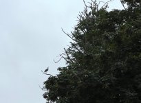 IMG_2753.jpeg IMG_2753.jpeg