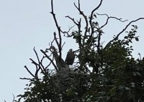 IMG_2754.jpeg IMG_2754.jpeg