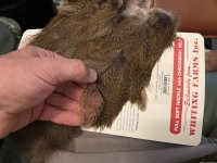 IMG_4670.jpeg