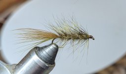 PXL_20250612_023622272.jpg
