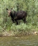 IMG_3143.jpeg