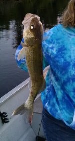IMG_20140730_210311526.jpg