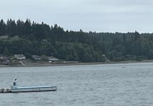 IMG_5651.jpeg