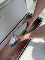 IMG_5980.jpeg IMG_5980.jpeg