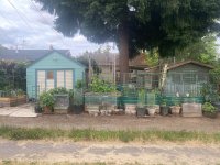 IMG_7426.jpeg