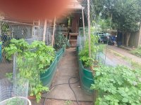 IMG_7421.jpeg