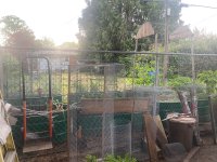 IMG_7419.jpeg