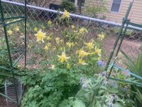 IMG_7417.jpeg