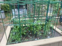 IMG_7413.jpeg