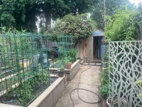 IMG_7412.jpeg