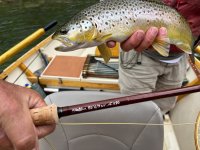 IMG_1613.jpeg IMG_1613.jpeg