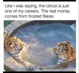 IMG_8171.jpeg