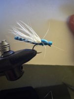 IMG_2239.jpeg