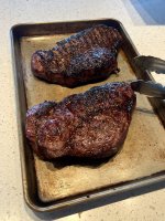 IMG_6395.jpeg IMG_6395.jpeg