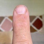 IMG_7435.jpeg
