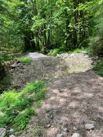 IMG_3287.jpeg