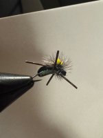 IMG_2248.jpeg