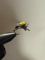 IMG_2247.jpeg
