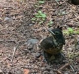 IMG_5662.jpeg
