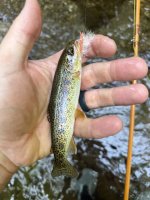 IMG_1486.jpeg