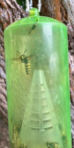 IMG_1173.jpeg