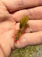 IMG_2190.jpeg