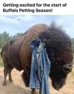 IMG_2782.jpeg