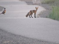IMG_3997.JPG
