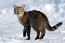 IMG_5437.jpeg