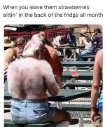 IMG_2779.jpeg