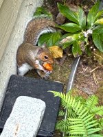 IMG_9087.jpeg
