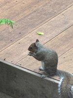 IMG_9085.jpeg