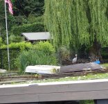 IMG_2823.jpeg