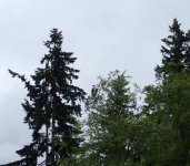 IMG_2826.jpeg