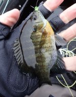 IMG_2824.jpeg