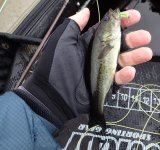 IMG_2822.jpeg