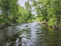 20250619_newwater.jpg 20250619_newwater.jpg