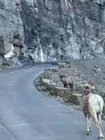 IMG_6412.jpeg