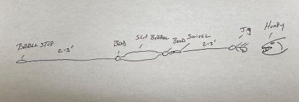 IMG_2850.jpeg