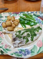 Bluefish Filet .jpg Bluefish Filet .jpg