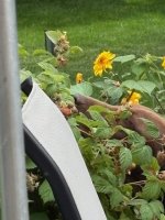 IMG_3162.jpeg