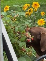 IMG_3161.jpeg